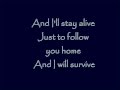 Follow you home By Nickelback lyrics!! 
