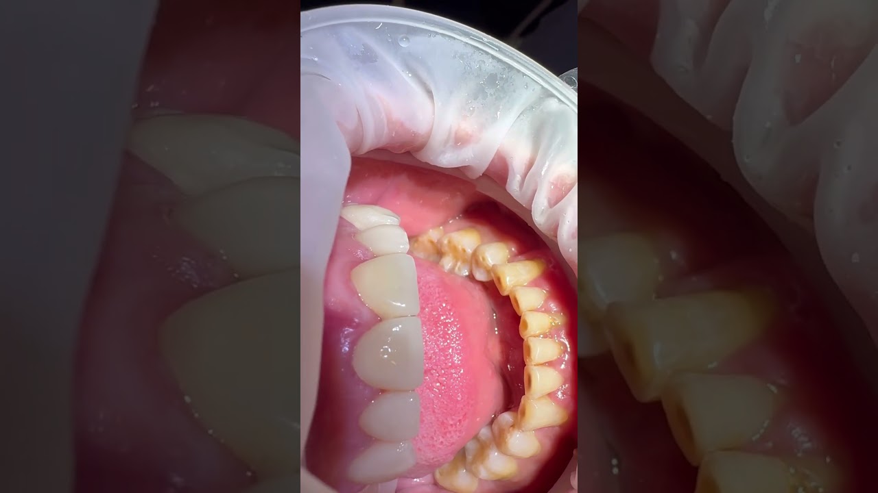 Andrea Cervantes Urenda-33