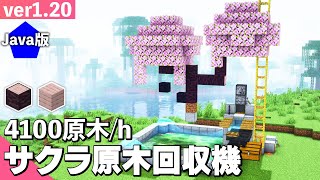 【Java版 1.20】桜の原木回収機の作り方！【マイクラ】