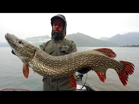 MONSTER PIKE with GIANT BAITS - Lake Maggiore Pike Fishing
