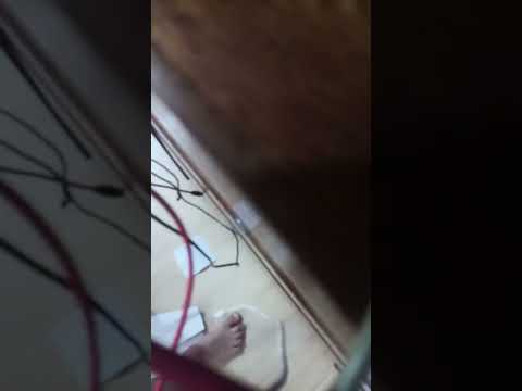 carregando pelo som de doogee s88 pro