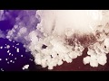Vladislav Delay - Toive [Music Video]