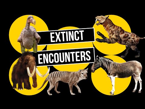 Extinct Encounters: Meet the Dodo, Tasmanian Tiger, Mammoth & More!