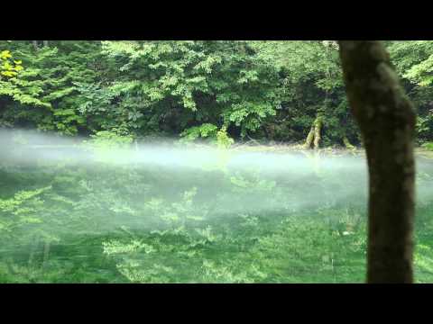 【NIIGATA-SORADORI】龍ヶ窪　清水出でる神秘の地　津南町