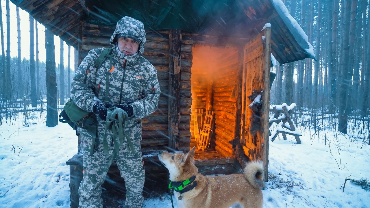Snow Falling, -8°C Outside. Warm Night in My Log Cabin.