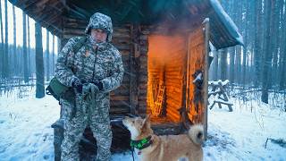 Snow Falling, -8°C Outside. Warm Night in My Log Cabin.