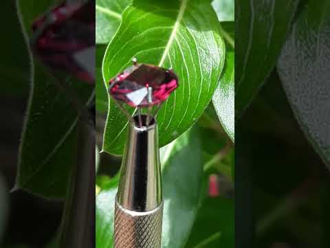 🇱🇰 Ceylon Gems 3