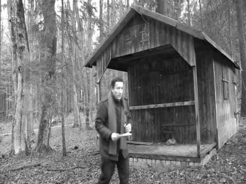 Der Einsiedler im Wald: SW-Filmtest 2012