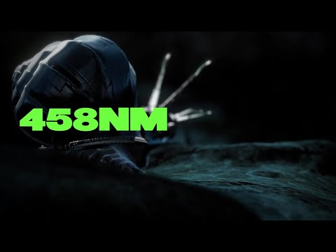 458nm | A Polynoid Film