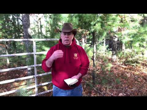 Hope For The Backslider