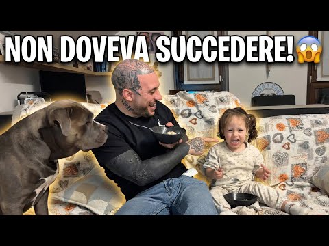 THIS WASN'T SUPPOSED TO HAPPEN! 😱 SOPHIE GOES CRAZY DURING ICE CREAM NIGHT 🍦