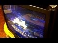 5 French VHS Openings