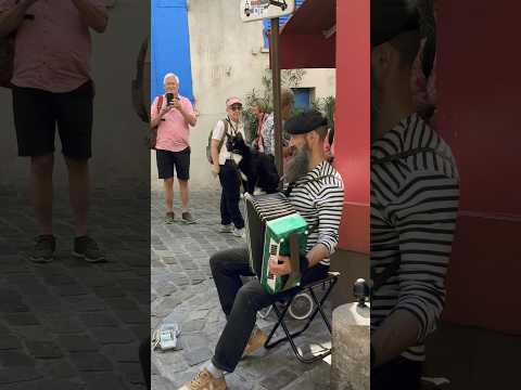 Melodies of Montmartre: Accordion Maestro and His Feline Muse 🎵🐱 Parisian Street Musician