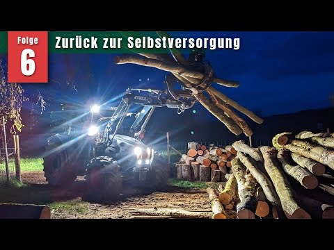 Der Hühner-Umzug (instabiles Hühnerhaus!), Bienen legen los, Gemüseschutz und ein Spezial-Tipp! #6