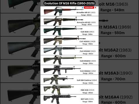 Evolution of the M16 Rifle (1956–2025): AMERICAN Infantry Iconic Rifle #shorts