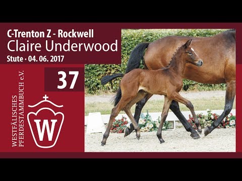 37 Claire Underwood  Stute v. C-Trenton Z -  Rockwell