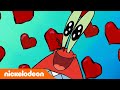 SpongeBob | De SCHATTIGSTE momenten van meneer Krabs en mevrouw Puff | Nickelodeon Nederlands