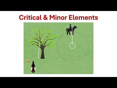 JWP 4 Decision Tree 2