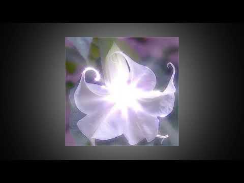 [FREE] Emotionals x kiryano x ONE YEAR [145 bpm] [G# major]