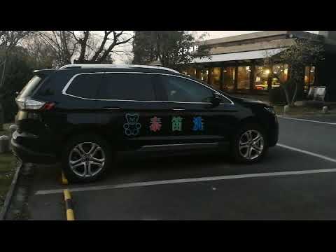 Luminescent electroluminescent Lighting car decoration advertisement