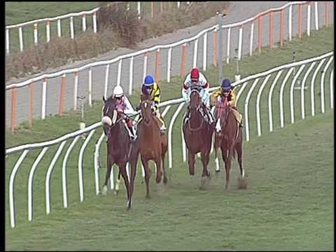 Galoppo 21/12/2016 - 1ª corsa