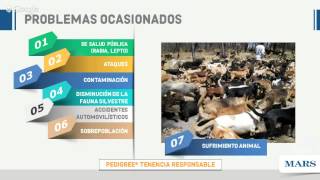PEDIGREE® - Tenencia Responsable de Mascotas - Dr. Carlos Esquivel Lacroix