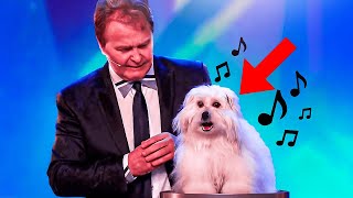 6 Best Singing Dogs EVER On Got Talent! But Which Dog WINS? video