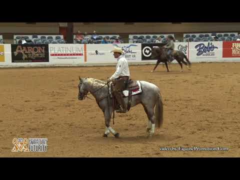 Bet He Sparks ridden by Clayton M. Edsall  - 2017 Snaffle Bit Futurity (Cow Work, IO/LO FINALS)
