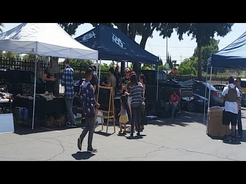 LIVE: Evike Trading Post (Guns & Gear) Airsoft