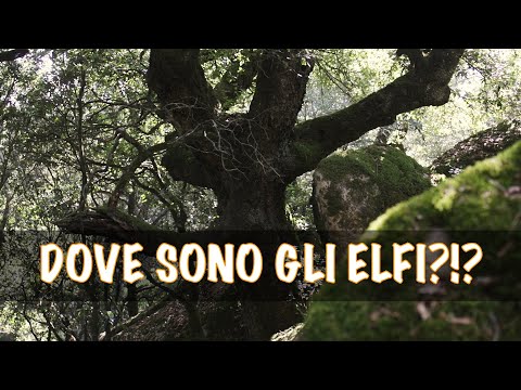 Cronache sarde VI. Sette fratelli e altre meraviglie dalla Sardegna del sud!