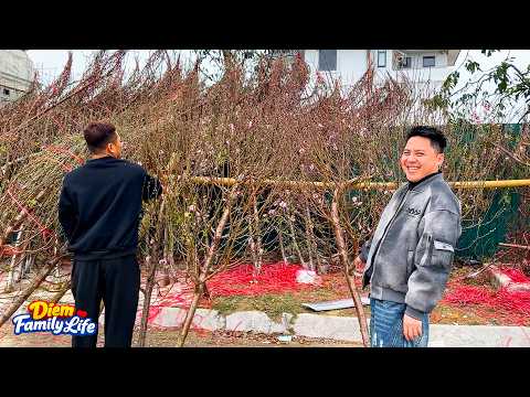 Diem's ​​family is preparing for the traditional Lunar New Year