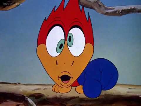 🤣Woody Woodpecker 1941 Anime💖