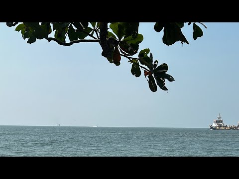 Fort kochi || Kochi beach view || kerala
