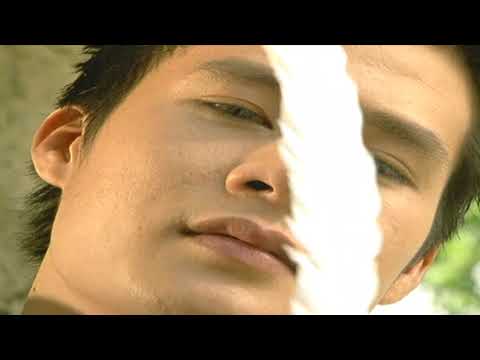 Mùa xuân tình yêu - Quang Dũng