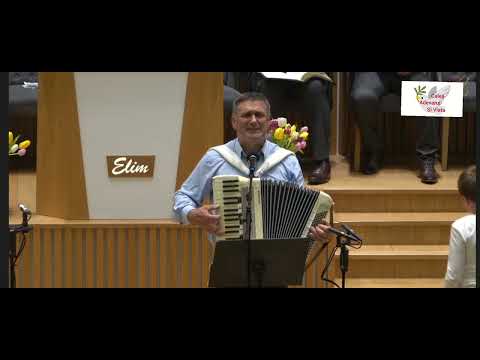 Ilie Puha - Un superb colaj