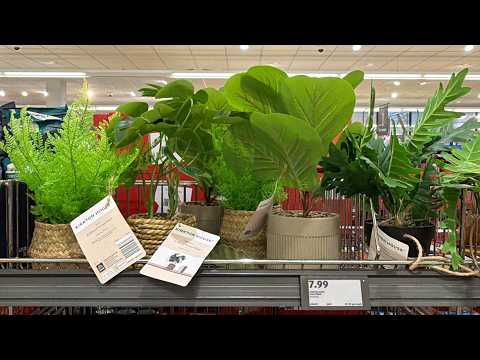 Aldi Specialbuys Arrivals - 2026 February 11th