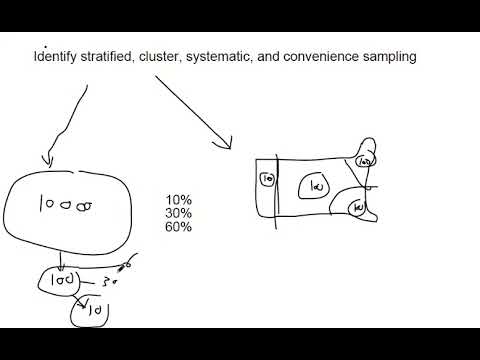 Identify stratified, cluster, systematic, and convenience sampling