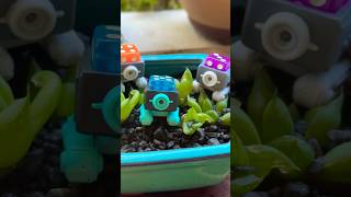 Karuba video thumbnail