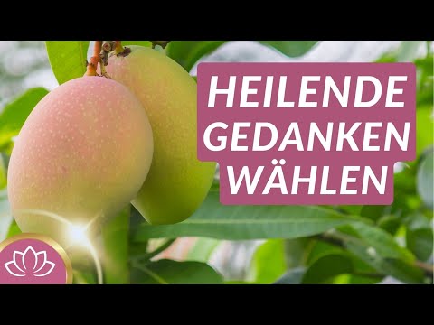 Meditation „Mangobaum“ für positive Gedanken & Gefühle