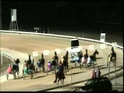 Bad Cat NZ 2nd - Australian Derby, Launceston, Tasmania - 23rd March 2008