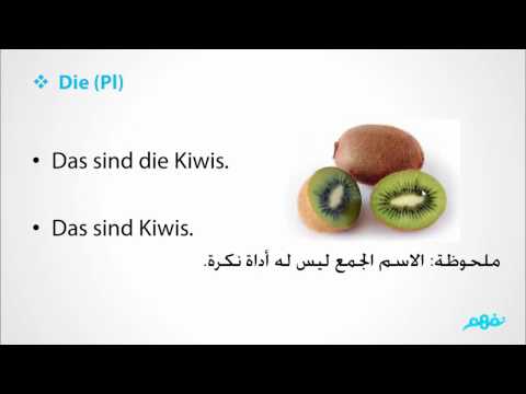 Die Pluralform -  اللغة الألمانية  - للصف الأول الثانوي - الترم الثاني - نفهم