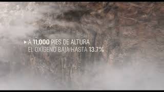 Tráiler de Vértigo 2: Punto muerto