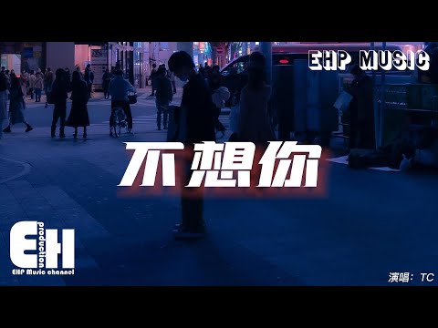 TC - 不想你『不想你 不想你 煽情到不斷攻心，不想你 不想你 要我怎麼做到不想你。』【動態歌詞/Vietsub/Pinyin Lyrics】