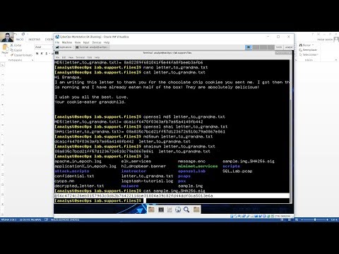 9.1.2.5 Lab - Hashing Things Out