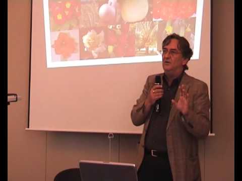 Gentechnologie: ein Eingriff in die Evolution? (3/6)