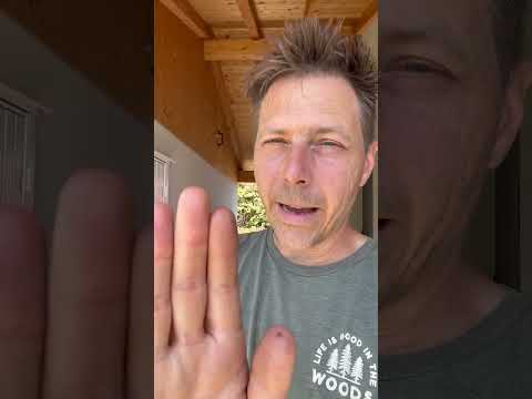 No Delonghi or Breville? Fo' real?!