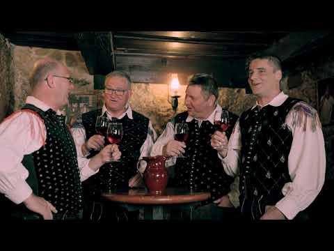 Ansambel Posavski godci - ZA VSE PRIJATLE