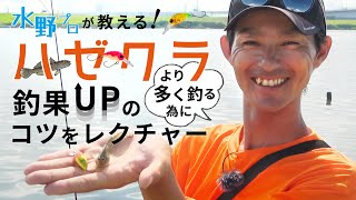 【釣果直結！ハゼクラ】水野プロが教える！ハゼクラの基本と応用テクニック