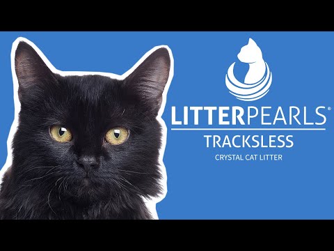 Litter Pearls video