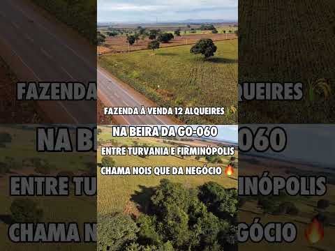 Fazenda 12 alqueires Safra e Safrinha turvania - GO